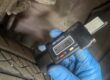 Technician checking front tyre tread depth with a digital gauge during a tyre inspection